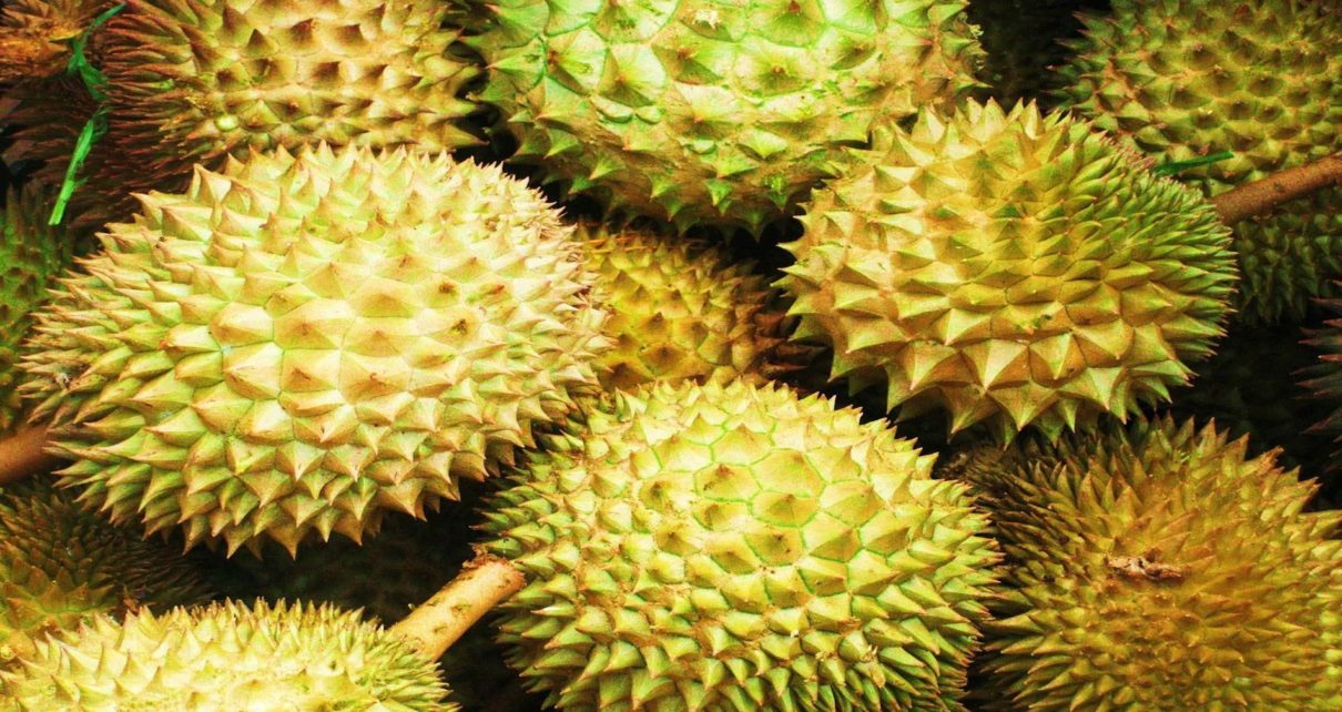 manfaat buah durian