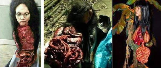  Kisah Nyata Keberadaan Hantu Kuyang, kuyang merupakan jelmaan dari seseorang yang menganut ilmu hitam dan pada waktu-waktu tertentu menjelma sebagai hantu