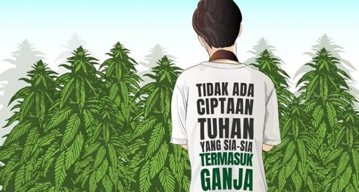 Alasan Besar Dunia Untuk Legalkan Ganja