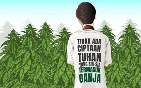 Alasan Besar Dunia Untuk Legalkan Ganja