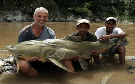 Goonch Catfish, Lele Mutan Pemangsa Manusia