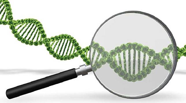 Arti Tes DNA untuk Kesehatan, Banyak yang Belum Sadar