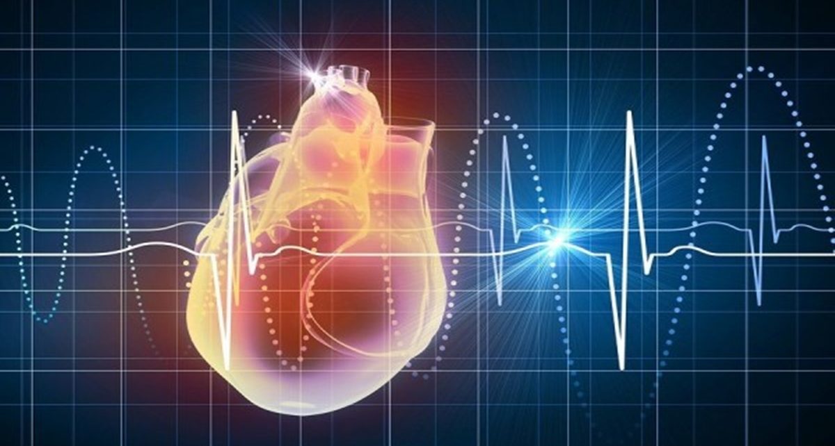 7 Fakta tentang Detak Jantung Normal