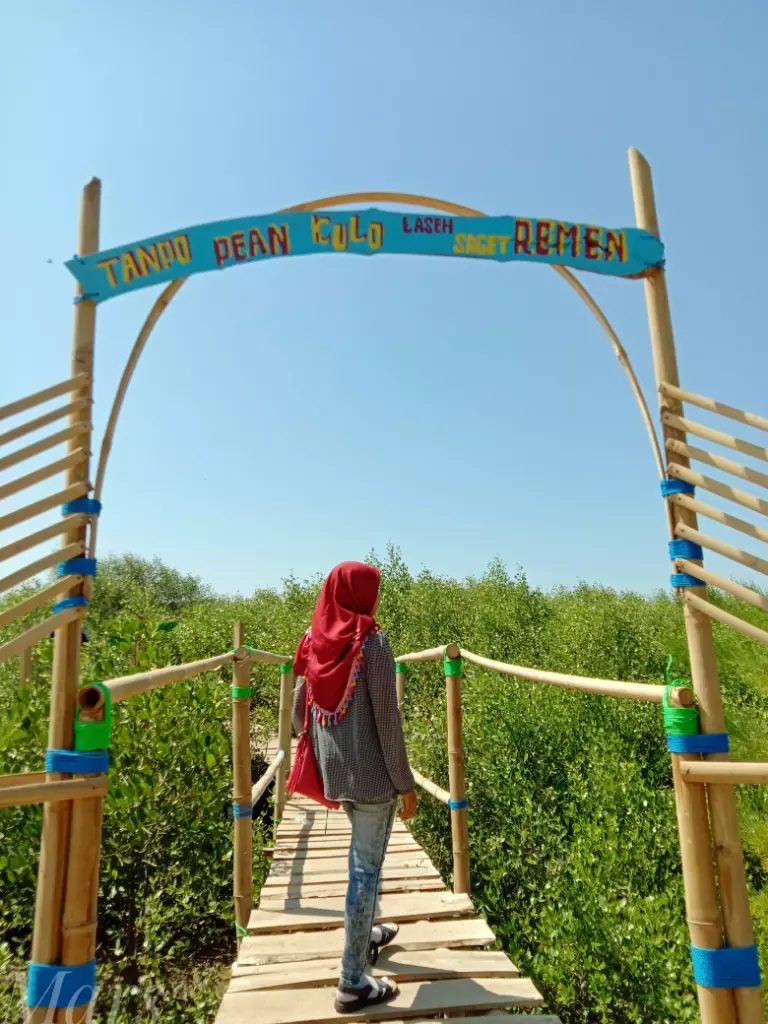 Pesona Pantai Mina Mangrove Di Pati