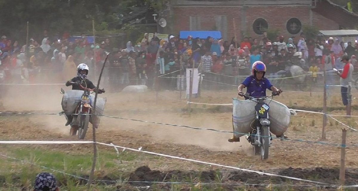 Rayakan Panen Petani di Polman