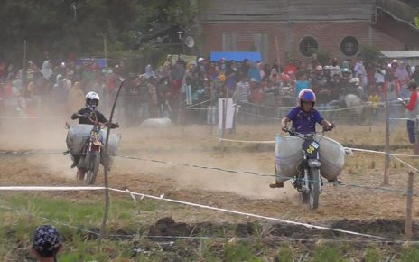 Rayakan Panen Petani di Polman