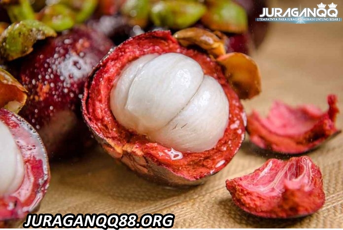 Manfaat Buah Manggis untuk Kesehatan Tubuh