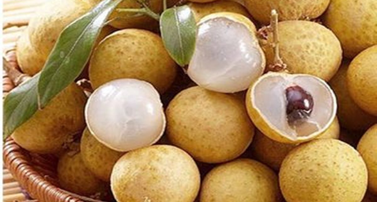 5 Khasiat Tak Terduga Ini Tersimpan dalam Buah Kelengkeng