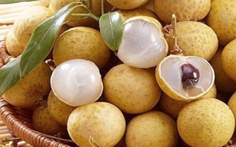 5 Khasiat Tak Terduga Ini Tersimpan dalam Buah Kelengkeng