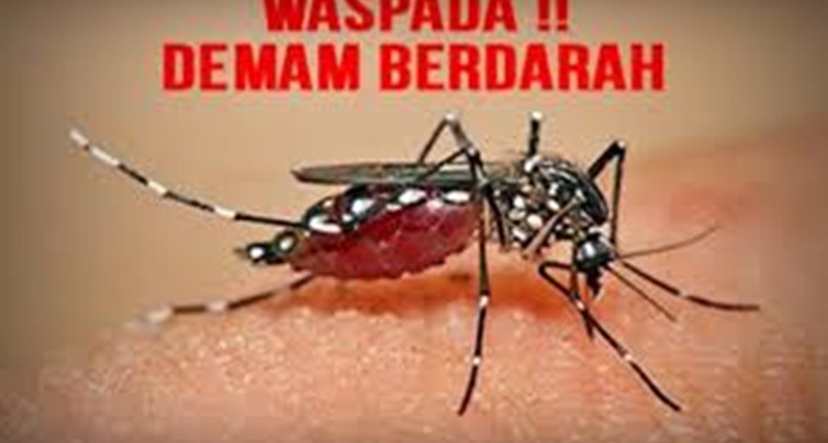 7 Gejala Demam Berdarah yang Harus Diwaspadai