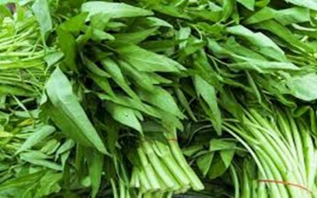 5 Manfaat Kangkung untuk Kesehatan, Bantu Jaga Kesehatan Mata