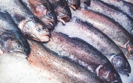 5 Bahaya Ikan Berformalin Bagi Kesehatan, Wajib Berhati-hati