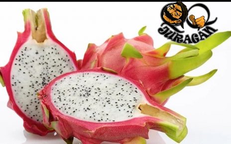 Manfaat Buah Naga Untuk Kesehatan Tubuh