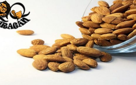 Manfaat Kacang Almond Untuk Kesehatan Tubuh