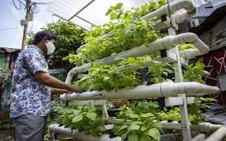 6 Manfaat Berkebun bagi Kesehatan, Bikin Bahagia dan Gak Mudah Sakit