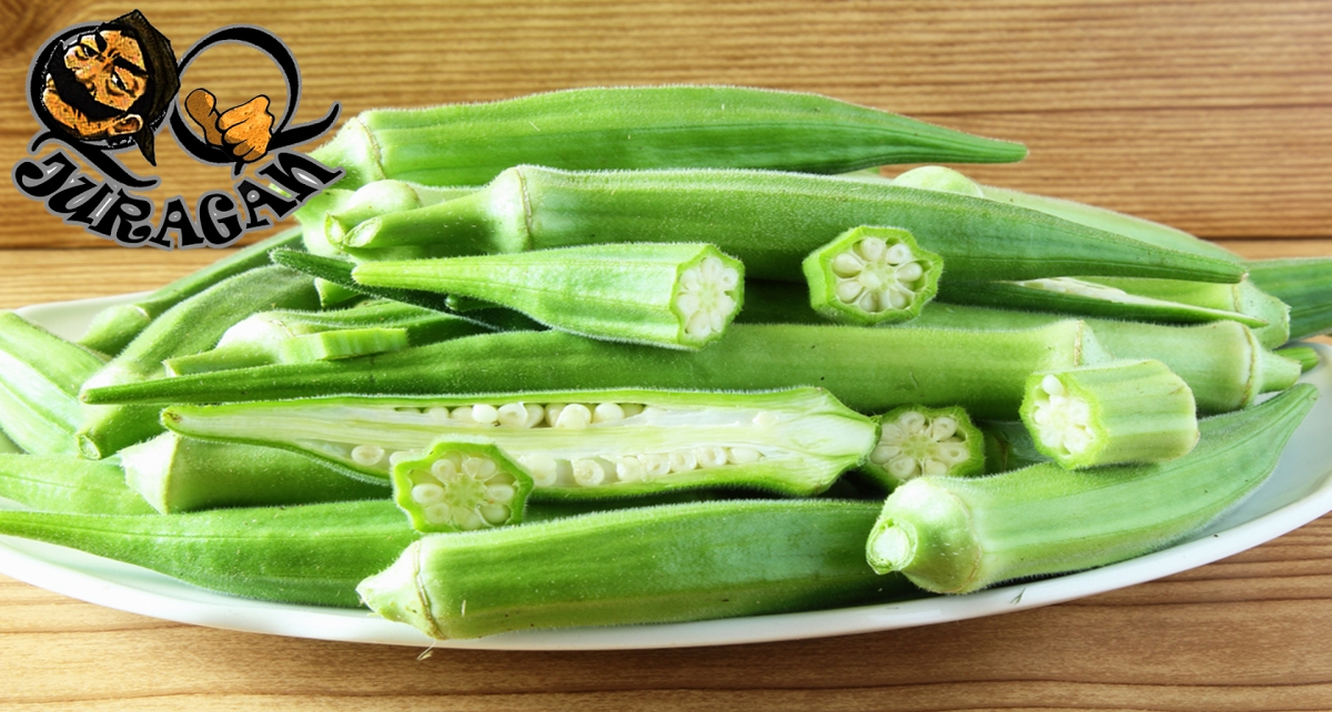 Manfaat Menakjubkan Okra Bagi Kesehatan Tubuh