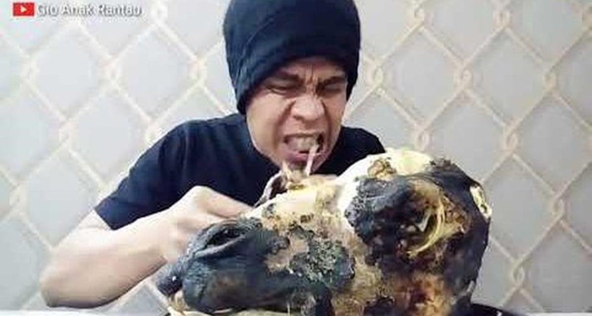 Momen Mukbang Kepala Hewan