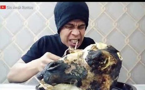 Momen Mukbang Kepala Hewan