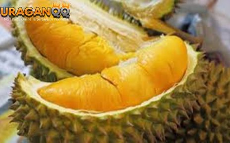 Punya Bau yang Sangat Khas, Ini 5 Manfaat Durian bagi Kesehatan