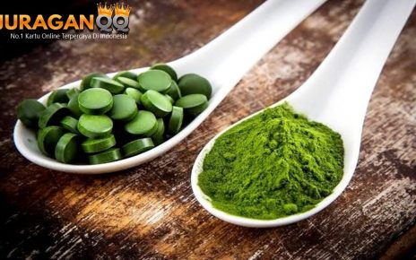 Dijuluki Superfood, Simak 6 Manfaat Chlorella untuk Kesehatan