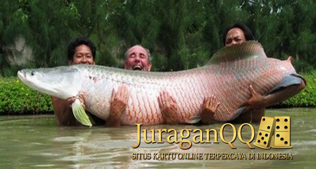 ikan terganas