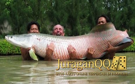 ikan terganas