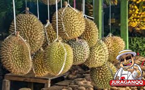 14 Manfaat Buah Durian untuk Kesehatan dan Cara Konsumsi yang Benar