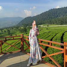 Kebun Teh dengan Tea Walk Terpopuler di Pangalengan Bandung