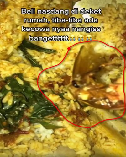 Beli Nasi Padang Dapat Bonus Tak Terduga