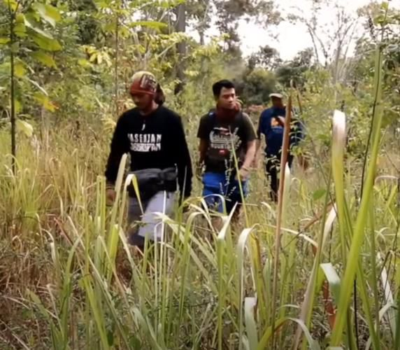 Panji Petualang Temukan Ular Besar Di Gunung