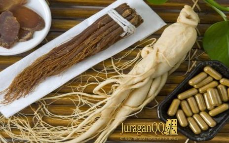 Manfaat Ginseng Untuk Kesehatan