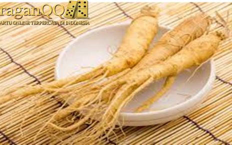 Beberapa Manfaat Ginseng Bagi Tubuh