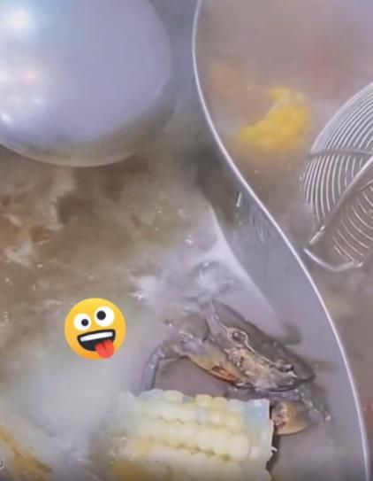 Viral Video Kepiting Direbus Malah Santuy