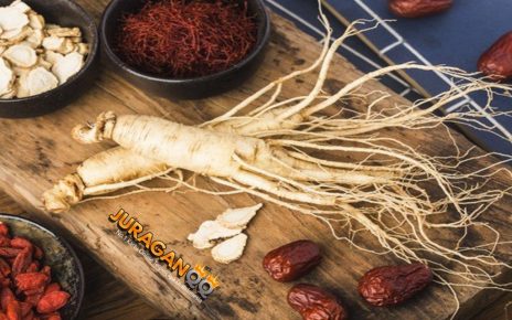 Manfaat Ginseng Untuk Kesehatan Tubuh