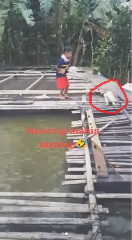 Bocah Mancing di Kolam Endingnya Bikin Nyesek