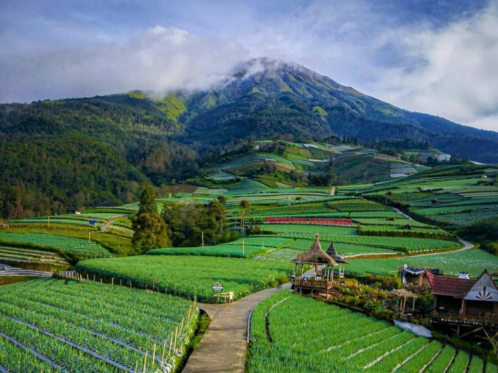 Keindahan Alam Negeri Sayur Sukomakmur