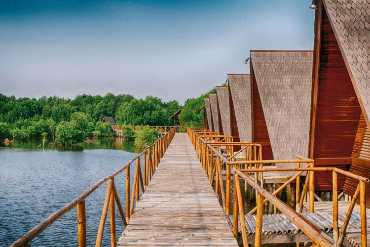 Kawasan Ekowisata Mangrove di PIK