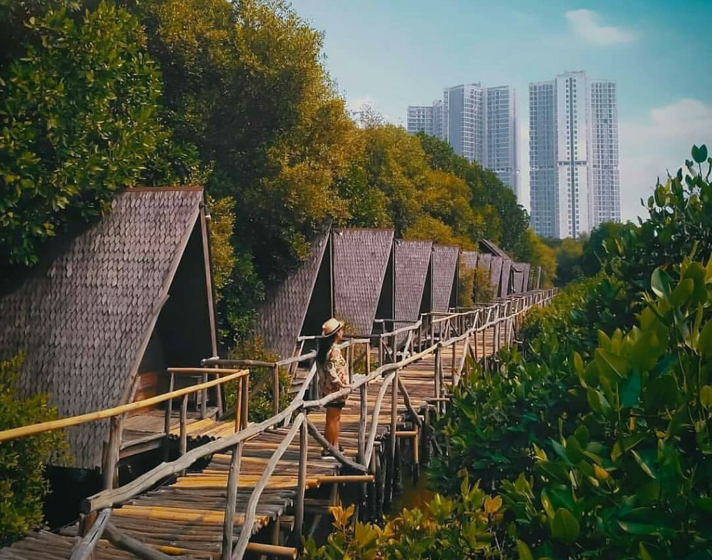 Kawasan Ekowisata Mangrove di PIK