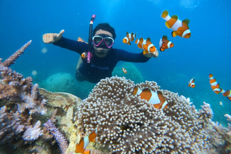 Menikmati Keindahan Dunia Bawah Laut Karimunjawa