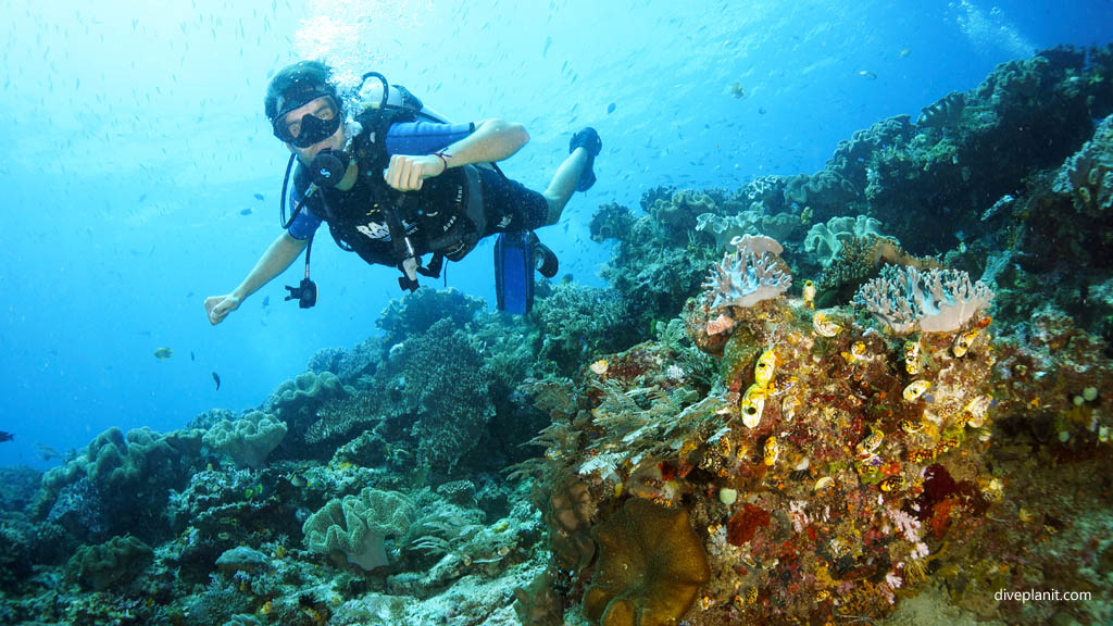 Pantai Waiwo Raja Ampat Surganya Anak Pantai