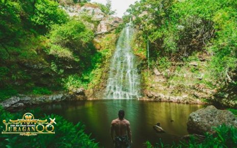 Rekomendasi Terapi Mandi Hutan di Jepang