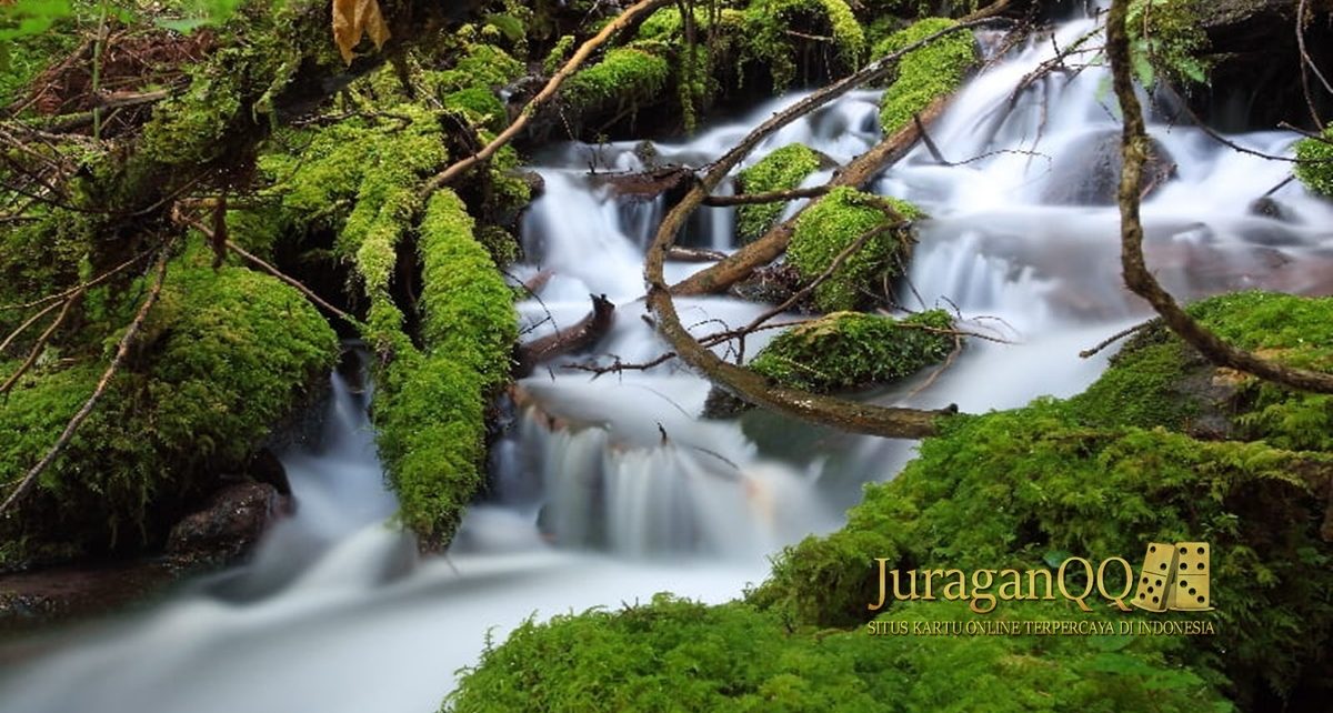 Destinasi Air Terjun Terindah di Oregon