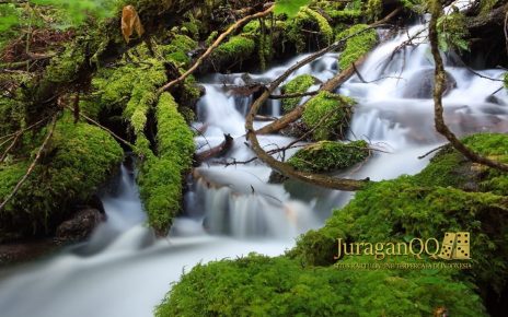 Destinasi Air Terjun Terindah di Oregon