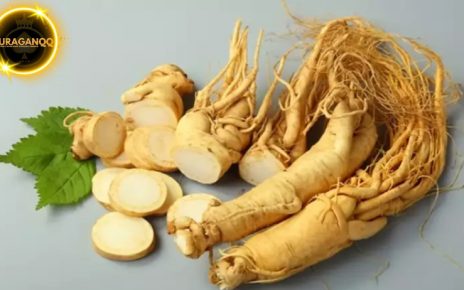 5 Manfaat Ginseng Bagi Kesehatan