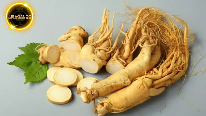 5 Manfaat Ginseng Bagi Kesehatan