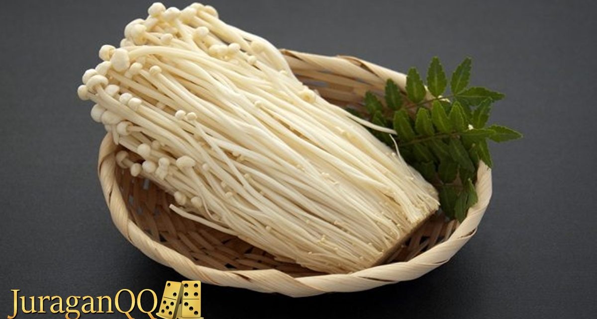 4 Manfaat Jamur Enoki