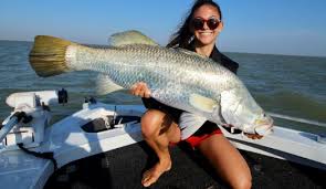 Ikan Barramundi atau Ikan Kakap Putih, Ikan dengan Sejuta Manfaat Kesehatan  bagi Tubuh – Wisata Mancing