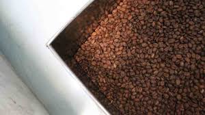 5 Khasiat Kopi Robusta Untuk Kesehatan - Delta Coffee Roaster