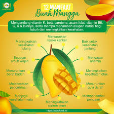 12 Manfaat Buah Mangga Yang Harus Kamu Ketahui - Cairo Food