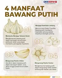 4 Manfaat Bawang Putih bagi Tubuh 0 : Foto Okezone Infografis